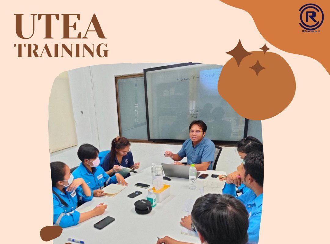 The training program UTEA.